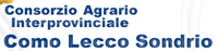 consorsiocomo
